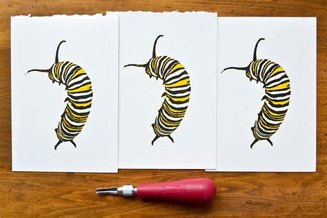 Linocut and Reduction Printmaking: Design and Techniques.